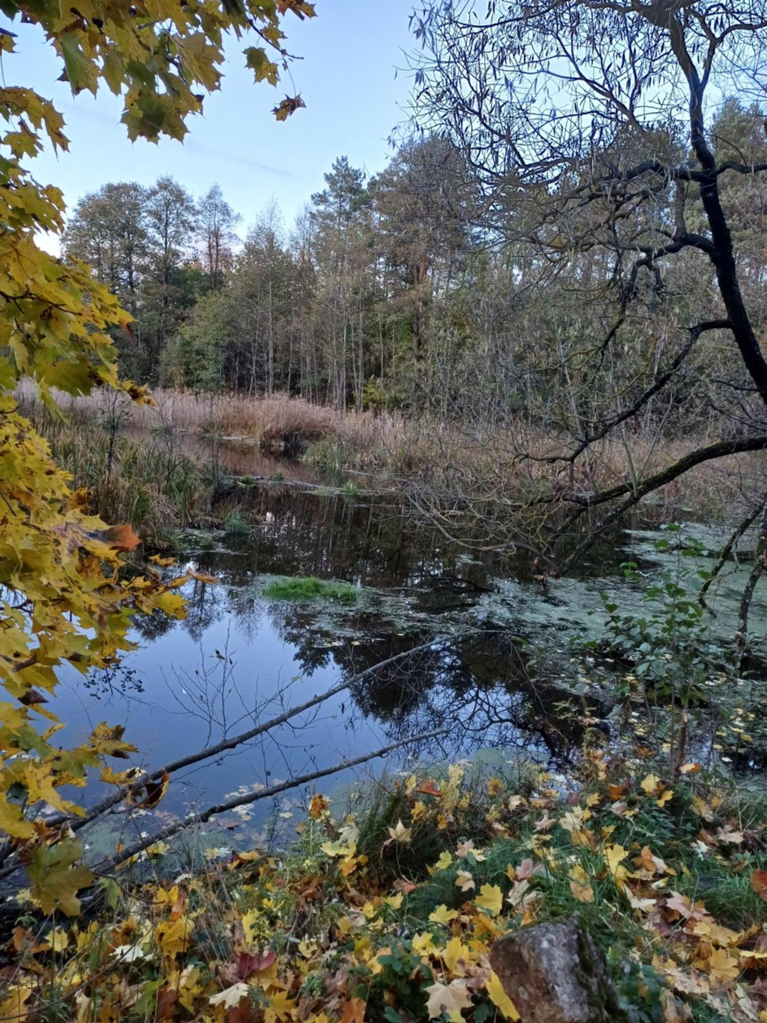 Osrodek Wypoczynkowy Koziol Hotel Kolno  Buitenkant foto