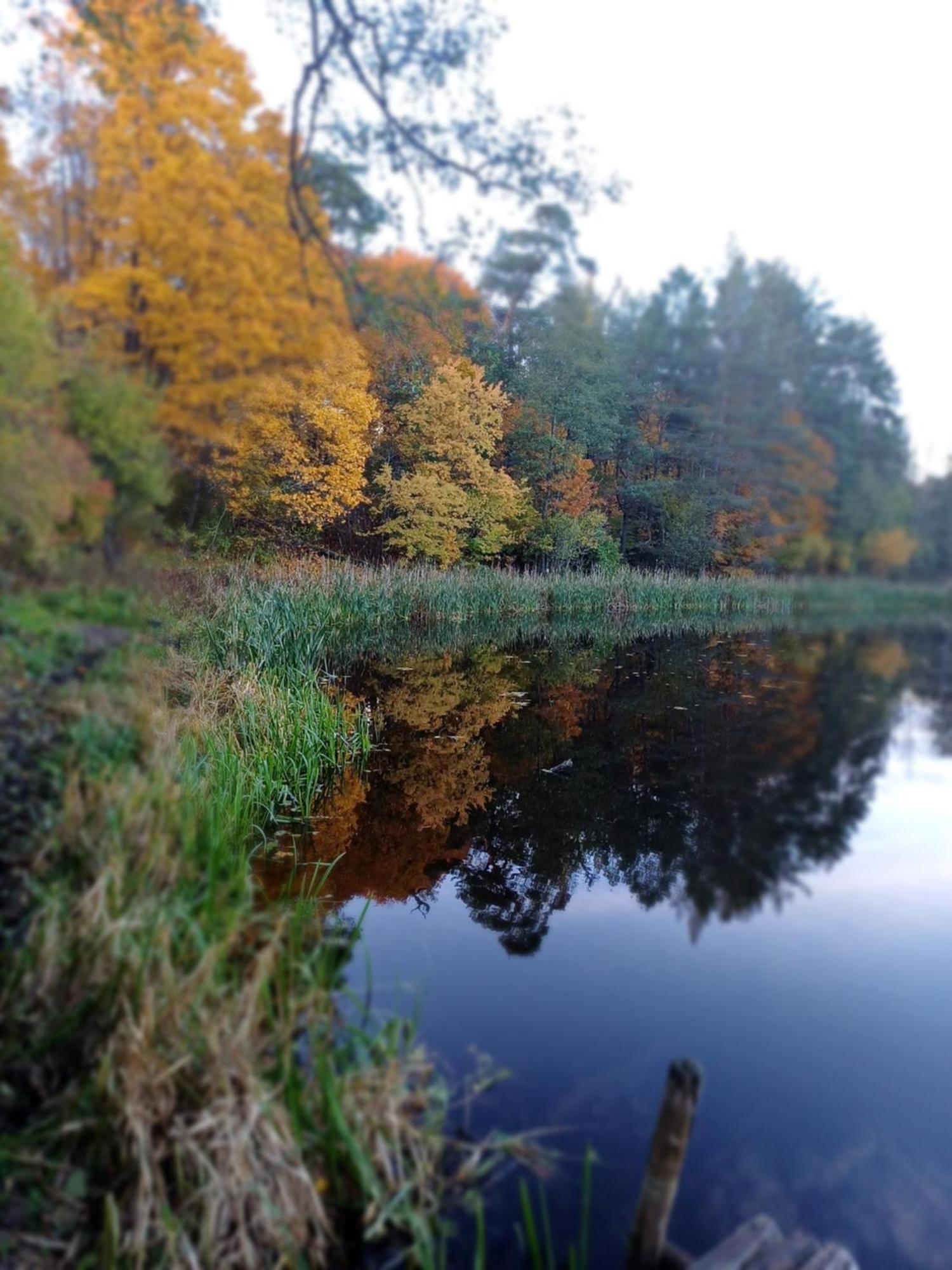 Osrodek Wypoczynkowy Koziol Hotel Kolno  Buitenkant foto