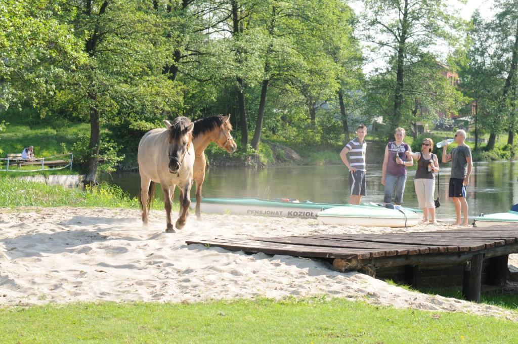 Osrodek Wypoczynkowy Koziol Hotel Kolno  Buitenkant foto